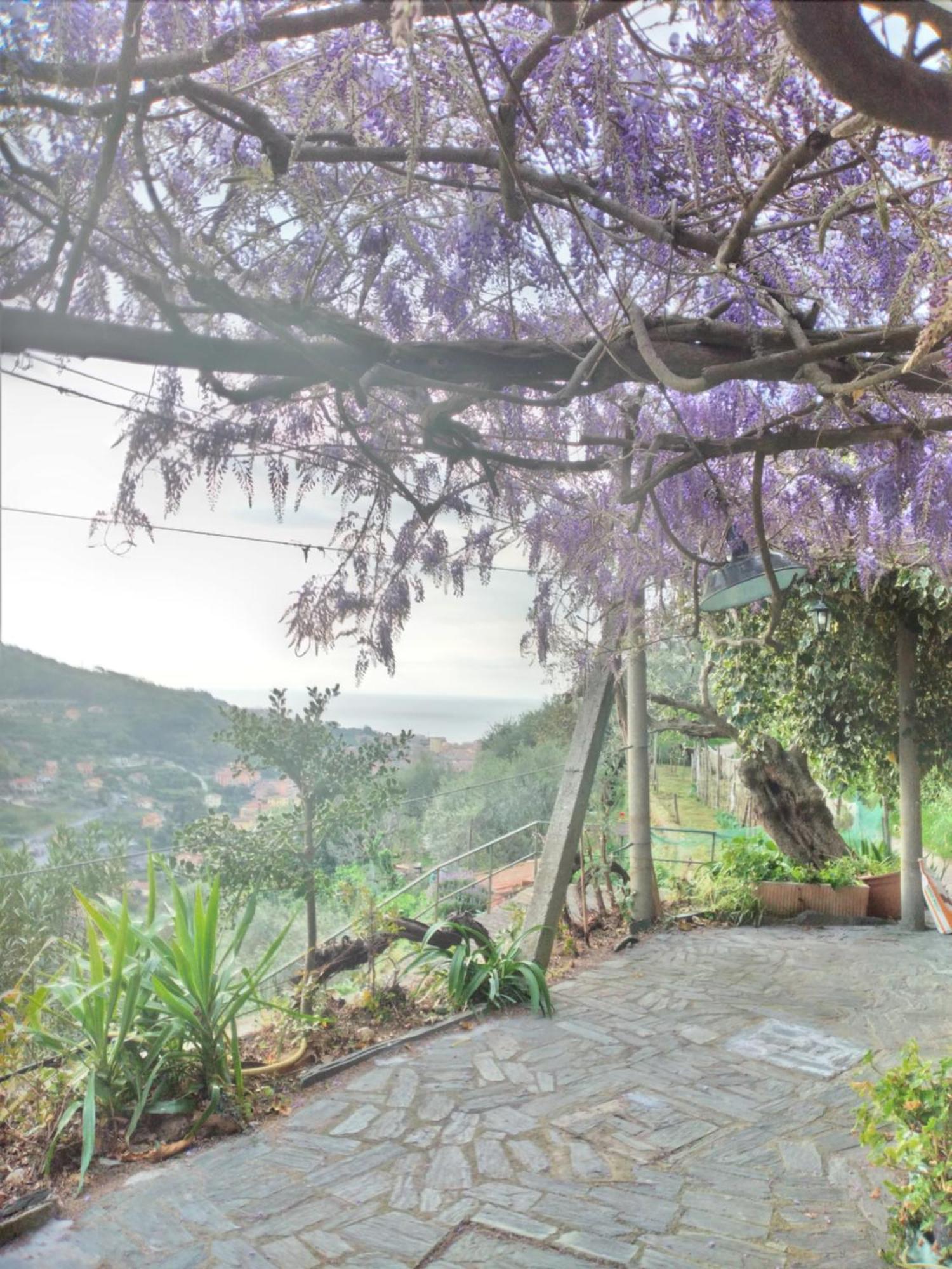 Ca Degli Ulivi Hotel Finale Ligure Exterior photo
